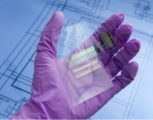 electronic equipment capable of biodegradable