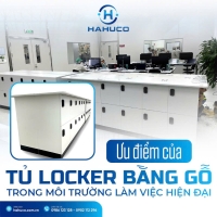 tu locker bang go co tot khong